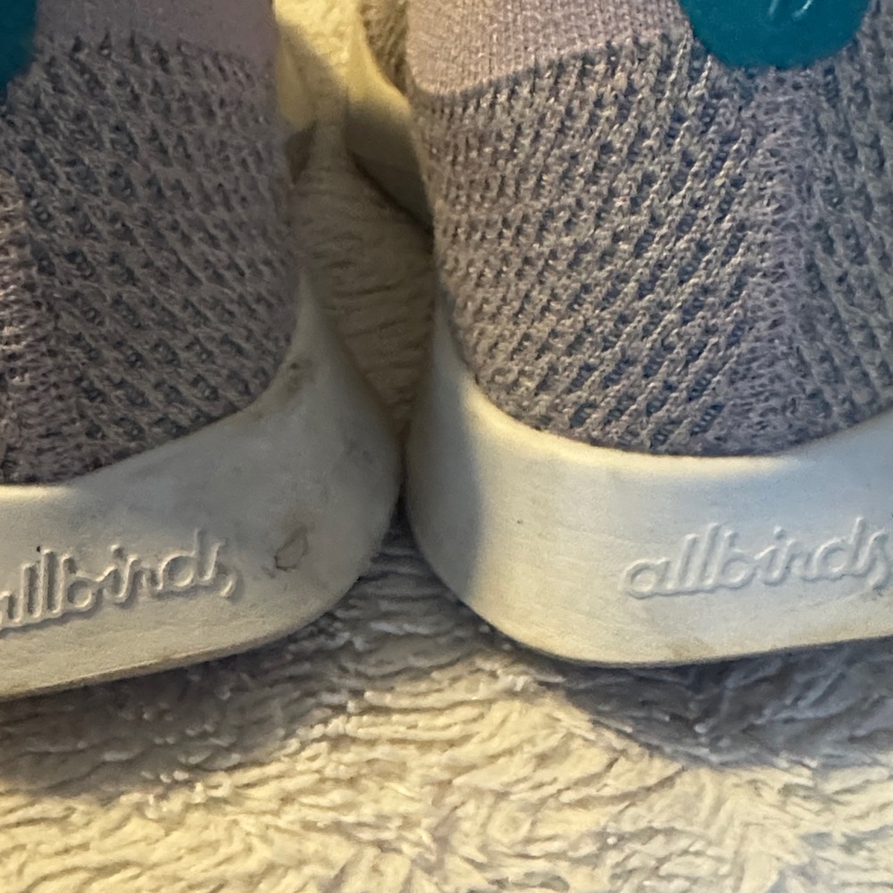 Allbirds Women's Sneakers - Gray and Teal
